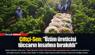 Çiftçi-Sen: "Üzüm üreticisi tüccarın insafına bırakıldı"