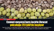 Cennet meyvesi kuru incirin ihracat yolculuğu 28 Eylül’de başlıyor