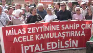 Akbelen duruşması sonrası MAPEG önünde eylem: Binlerce hayvan bir şirkete tercih ediliyor