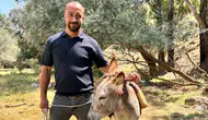 Ankara'da eşek yediemin otoparkına çekildi, sahibi 1246 lira ödeyerek hayvanını kurtardı