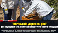"Bornova'da yaşam bal gibi"  Şifa kaynağı bal, kent market raflarında sosyal adalete dönüşüyor