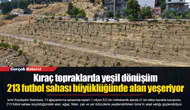 Kıraç topraklarda yeşil dönüşüm... 213 futbol sahası büyüklüğünde alan yeşeriyor