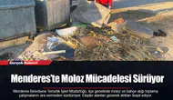Menderes’te Moloz Mücadelesi Sürüyor