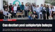 Can dostları yeni sahipleriyle buluştu