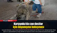 Karşıyaka’da can dostlar için dayanışma buluşması