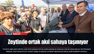 Zeytinde ortak akıl sahaya taşınıyor