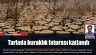 Tarlada kuraklık faturası katlandı