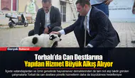 Torbalı’da Can Dostlarına Yapılan Hizmet Büyük Alkış Alıyor