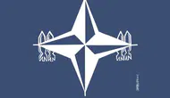 Eurojust: NATO gemilerine hizmet veren şirkete 3 ülkede operasyon