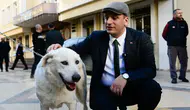 Ege Üniversitesindeki 83 köpek belediyenin hayvan bakım yerleşkesine alındı