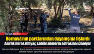 Bornova’nın parklarından dayanışma fışkırdı...  Asırlık miras ihtiyaç sahibi ailelerin sofrasına uzanıyor