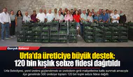 Urla’da üreticiye büyük destek: 120 bin kışlık sebze fidesi dağıtıldı