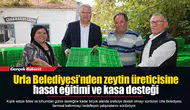 Urla Belediyesi’nden zeytin üreticisine hasat eğitimi ve kasa desteği