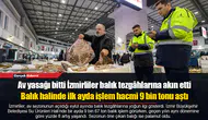 Balık halinde ilk ayda işlem hacmi 9 bin tonu aştı