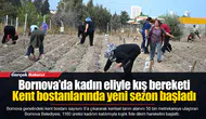 Bornova’da kadın eliyle kış bereketi...  Kent bostanlarında yeni sezon başladı