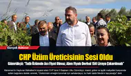 Gümrükçü: “Tatlı Üzümde Acı Fiyat Olmaz, Alım Fiyatı Derhal 150 Liraya Çıkarılmalı”