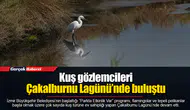 Kuş gözlemcileri Çakalburnu Lagünü’nde buluştu
