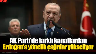 AK Parti'de farklı kanatlardan Erdoğan'a yönelik çağrılar yükseliyor
