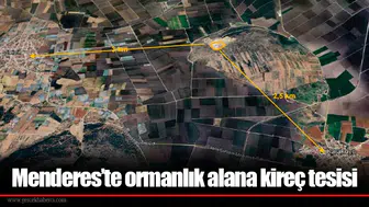 Menderes’te ormanlık alana kireç tesisi