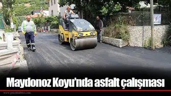 Maydonoz Koyu’nda asfalt çalışması