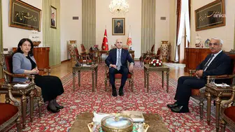 DEM Parti "çerçeve yasa" için tura çıkacak