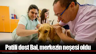 Patili dost Bal, merkezin neşesi oldu