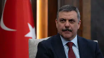 Bakan Çiftçi tarih verdi: Tüm sokak köpekleri barınaklara alınacak