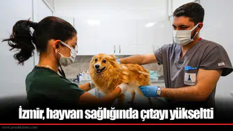 İzmir, hayvan sağlığında çıtayı yükseltti