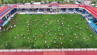 Manisa’da Güreş Heyecanı Başladı: Yuntdağı Er Meydanı Pehlivanları Ağırlıyor