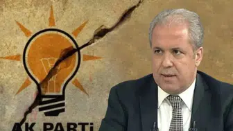 İBB davasındaki hakimin 'soytarı' sözlerine Şamil Tayyar'dan tepki: 'Normalleştirilmemeli'
