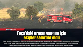 Foça'daki orman yangını için ekipler seferber oldu