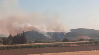 İzmir'de orman yangınına havadan ve karadan müdahale