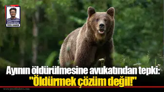 Ayının öldürülmesine avukatından tepki: "Öldürmek çözüm değil!"