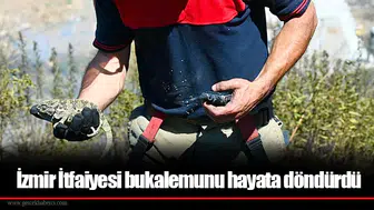 İzmir İtfaiyesi bukalemunu hayata döndürdü