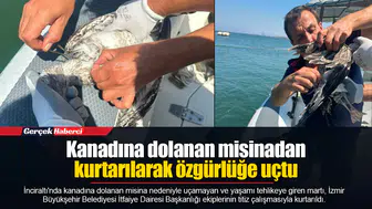 Kanadına dolanan misinadan kurtarılarak özgürlüğe uçtu