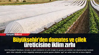 Büyükşehir’den domates ve çilek üreticisine iklim zırhı