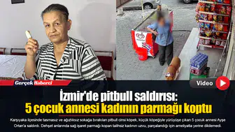 İzmir'de pitbull saldırısı: 5 çocuk annesi kadının parmağı koptu