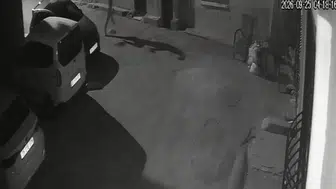 İzmir Konak'ta bir kişinin köpeğine tekme atıp sürüklediği anlar kamerada