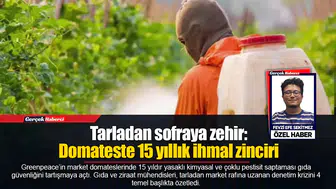 Tarladan sofraya zehir:  Domateste 15 yıllık ihmal zinciri