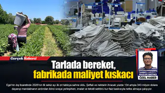 Tarlada bereket, fabrikada maliyet kıskacı