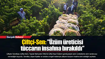 Çiftçi-Sen: "Üzüm üreticisi tüccarın insafına bırakıldı"