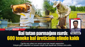 Bal tutan parmağını ısırdı:  600 teneke bal üreticinin elinde kaldı