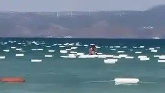 Çeşme Paşalimanı sahilini yüzlerce köpük kutu sardı