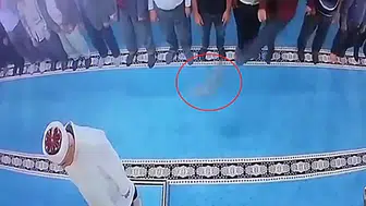 Erzurum'da camide kedi tekmeleyen kişi gözaltına alındı