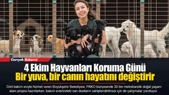 4 Ekim Hayvanları Koruma Günü...  Bir yuva, bir canın hayatını değiştirir