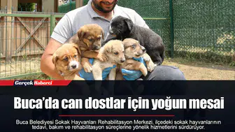 Buca’da can dostlar için yoğun mesai