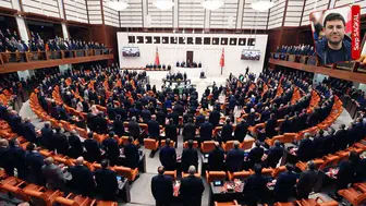 AK Parti'li Güneş'ten Meclis kedilerine tepki: Alerji ve hijyen tehdidi