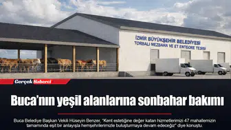 Buca’nın yeşil alanlarına sonbahar bakımı