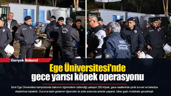 Ege Üniversitesi'nde gece yarısı köpek operasyonu