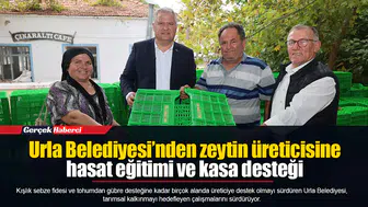 Urla Belediyesi’nden zeytin üreticisine hasat eğitimi ve kasa desteği